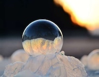 Delicate Bubble Photography Image 2