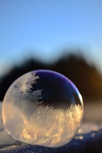 Delicate Bubble Photography Image 3