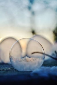 Delicate Bubble Photography Image 5