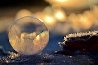 Delicate Bubble Photography Image 7