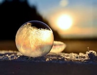 Delicate Bubble Photography Image 8
