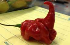 Record-Setting Picante Plants