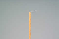 Delectable Noodle Sculptures