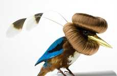 Avian Makeover Art