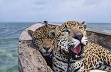 Colossal Photography Books