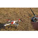 Camera-Equipped Quadcopters Image 3