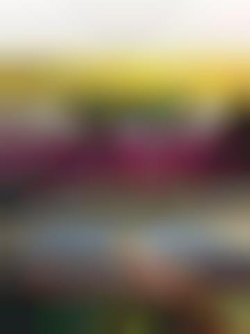 Cumulative Art Appreciation Apps