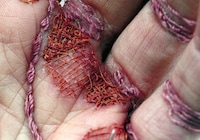 Stitched Skin Artworks Image 4