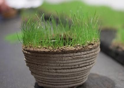 Flourishing 3D Printed Gardens