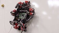 Gecko-Like Robots
