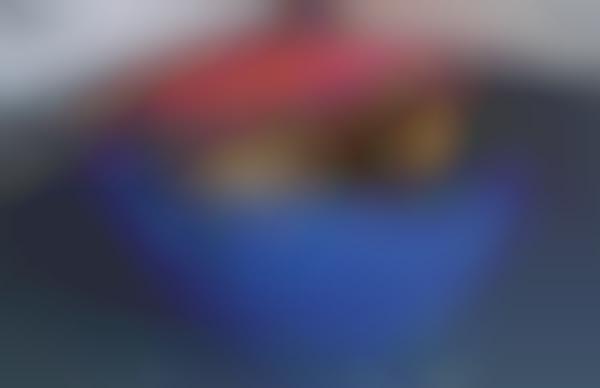 inflatable dog bed camping