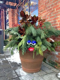 Googly-Eyed Street Art Image 8