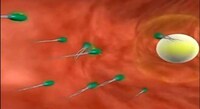 Cancer-Fighting Nanobots Image 2