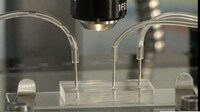 Cancer-Fighting Nanobots Image 3