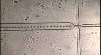 Cancer-Fighting Nanobots Image 5