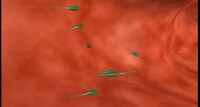Cancer-Fighting Nanobots Image 6