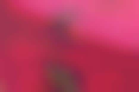 Luggage-Themed Jewelry Safes