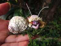 Sleeping Forest Fairy Figurines Image 2