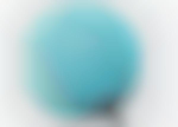 Personal Iris Scanners