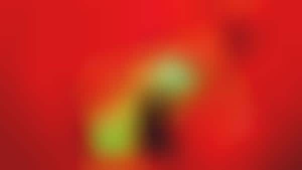 Vibrantly Interactive Spheres