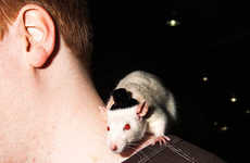 Fringe Animal Photography