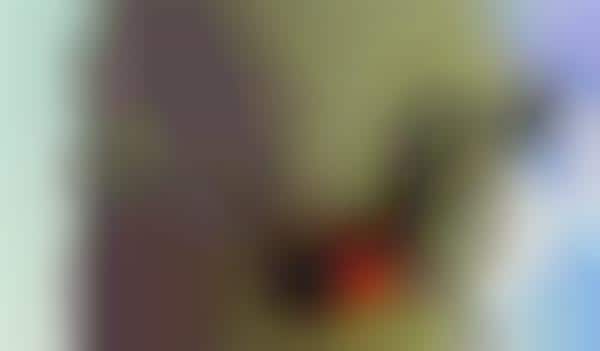 Hi-Res Head-Worn Cams