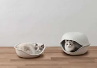 Stylish Cat Hideouts  Image 3