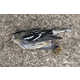 Skyscraper-Killed Bird Portraits Image 6