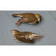 Skyscraper-Killed Bird Portraits Image 8