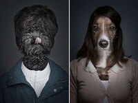 Hybrid Humanalistic Canine Photography Image 2