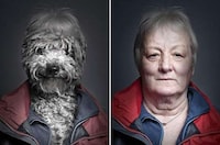 Hybrid Humanalistic Canine Photography Image 6