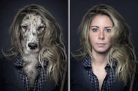 Hybrid Humanalistic Canine Photography Image 8