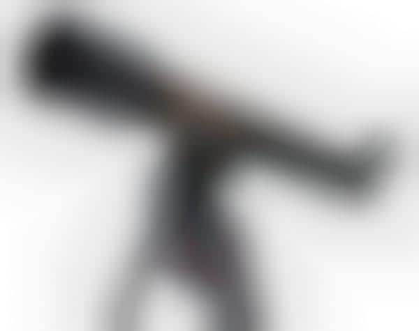 Smartphone-Controlled Telescopes