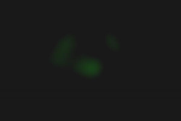 Light Producing Plants