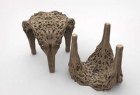 Organic Uprooted Stools Image 5