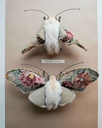 Nature-Inspired Textile Sculptures Image 2