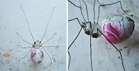 Nature-Inspired Textile Sculptures Image 4