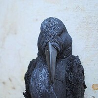 Nature-Inspired Textile Sculptures Image 8