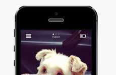 Gamified Pet Wellness Apps