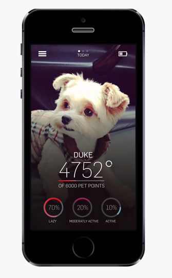 Gamified Pet Wellness Apps
