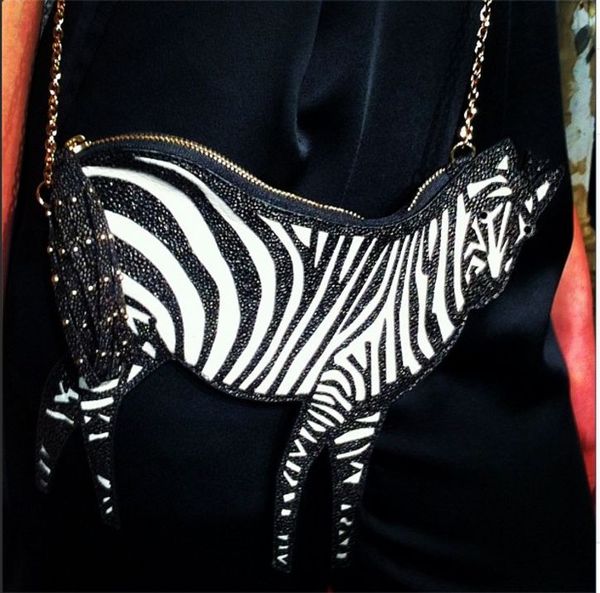 34 Wild Zebra-Themed Fashions