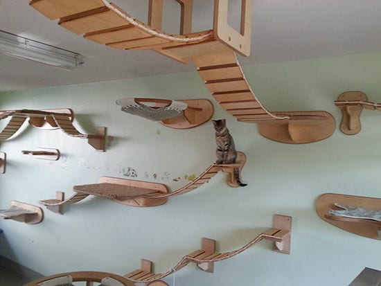 Wall-Mounted Cat Furniture