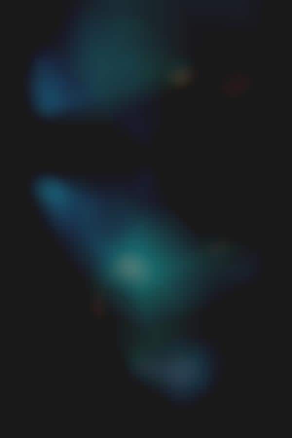 Rehabilitative Underwater Photography