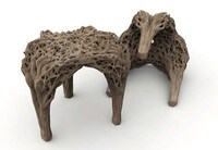Desert-Inspired Design Structures Image 2