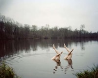 Synchronized Swimming Photography Image 2