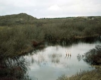 Synchronized Swimming Photography Image 6