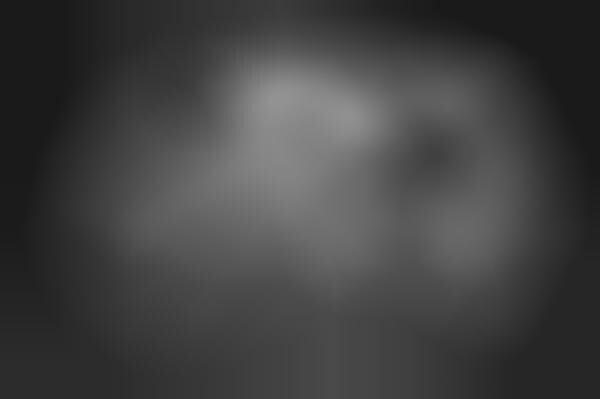 Creepy Two-Headed Photography