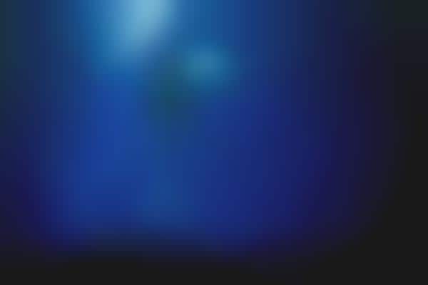 Intimate Marine Photography