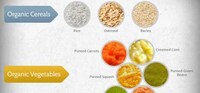 Toddler Nutrient Consumption Charts Image 6