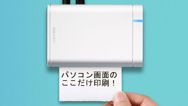 Screen-Capturing Miniature Printers